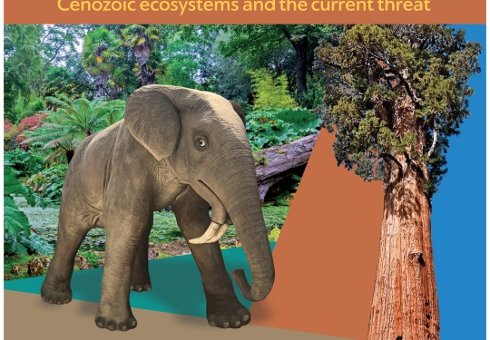 Κατανοώντας την κλιματική αλλαγή μέσα από το Απολιθωμένο Δάσος Λέσβου